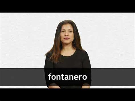 fontanero|fontanero translation in English 